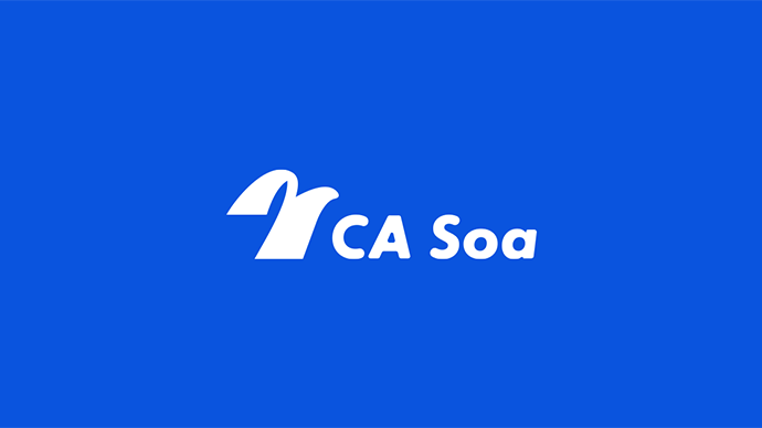 株式会社CA Soa・メイン画像